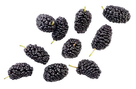 Ripe blackberries flying close-up on a white background. set