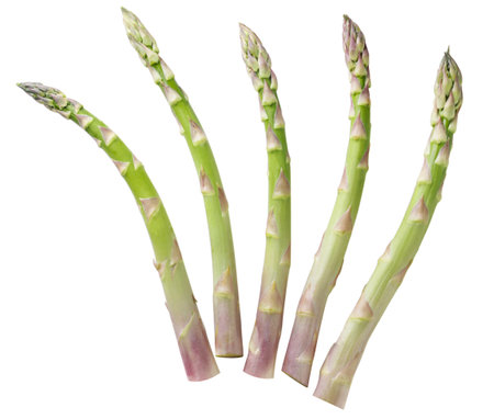 Set of branches asparagus close-up on a white background. Isolatedの写真素材
