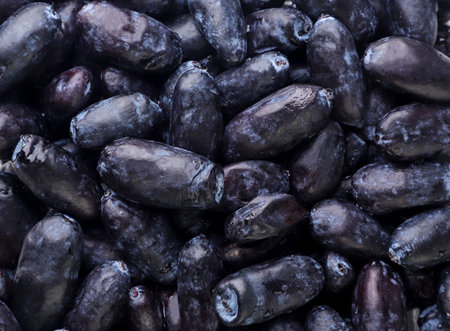 Haskap berries close-up, background. top viewの写真素材
