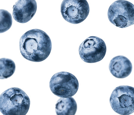 Blueberry flies close-up on a white background. Isolatedの写真素材
