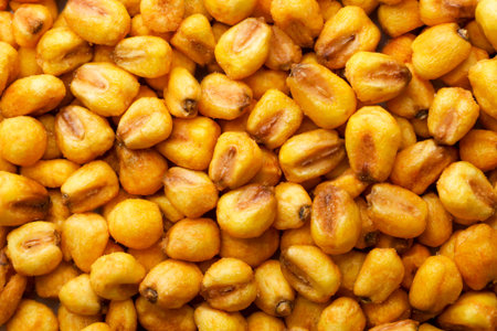 Roasted salted corn close-up, background. Top viewの写真素材