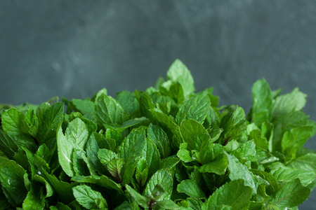 Mint leaves on two-thirds gray background with drops of water (closeup, macro view)の写真素材