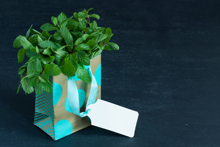 Mint leaves in gift bag with white label on dark background, horizontal orientationの写真素材