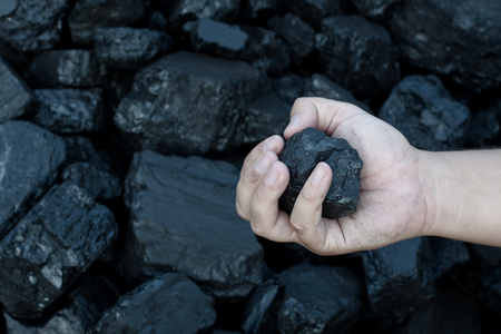 Coal mining - hand holding sunlit dark coal stone part. Concept coal mining, coal processing, energy 
source, environment protection.の写真素材