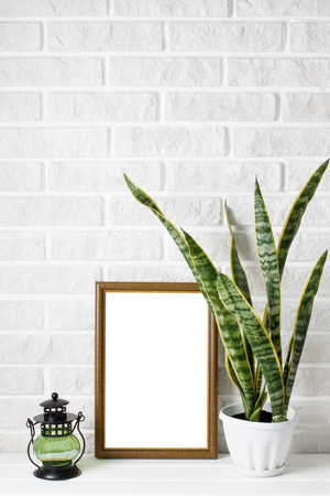 A4 poster mock-up in wooden frame, sansevie three-striped, candlelight on white wooden table and white 
painted brick wall background. Vertical orientation, place for copyspace.の写真素材
