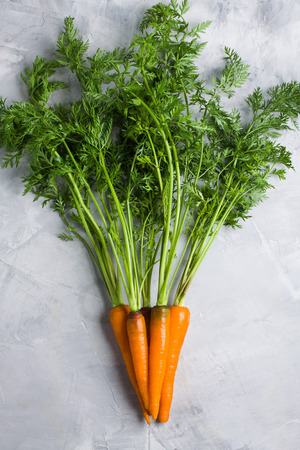 Bunch of fresh carrot with green on grey concrete background. Vertical orientation, top view, flat lay.の写真素材