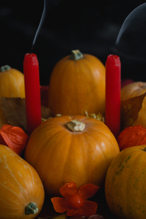 Halloween thanksgiving autumn still life composition with pumpkins apples dry leaves physalisの写真素材