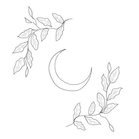 illustration of the moon and the ornament around it in the form of leaves. The drawing is made in the style of lines. Stylish and fashionable poster. vectorのイラスト素材