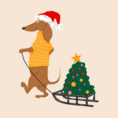 Dachshund dog pulls a Christmas tree on a sleigh vector illustrationのイラスト素材