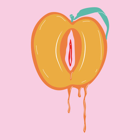 Fruit with outlines female labia. Illustrator a vagina. vectorのイラスト素材