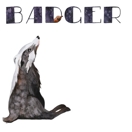 Badger, picture for children's blocks, watercolor illustrationの写真素材