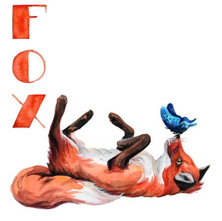 Fox and butterfly, watercolor illustration. Names of animals, pictures for alphabet blocks, for learning the alphabet, postcard, stickerの写真素材