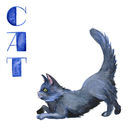 Cat watercolor illustration.Alphabet learning, animal pictures, print, postcardの写真素材