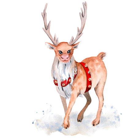 Christmas reindeer in a red harness. Watercolor illustration, postcardの写真素材