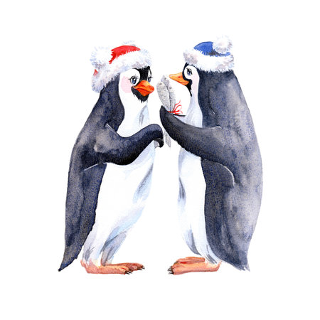 Mr. Penguin gives a gift to Miss Penguin. Watercolor illustrationの写真素材