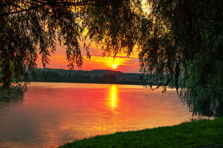 the summer sun rises in the morning over the lake reflecting in the water and framed by willow branchesの写真素材
