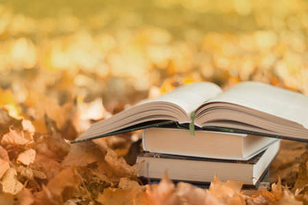autumn reading, books on the background of yellow leaves, open book, selective focusの写真素材