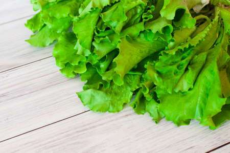 fresh green lettuce leaves on a light wooden background. High quality photoの写真素材