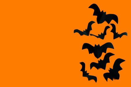 Halloween concept, black paper bats on an orange background