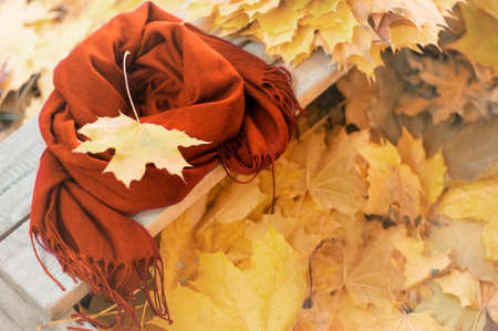autumn concept. warm scarf lies on a wooden bench with fallen maple leavesの写真素材