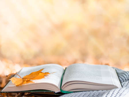 autumn park, open book lying on a warm scarf against a background of yellow leaves, selective focusの写真素材