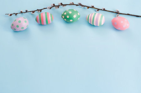 flowering willow sprig and Easter eggs lie on a blue background, Easter, springの写真素材