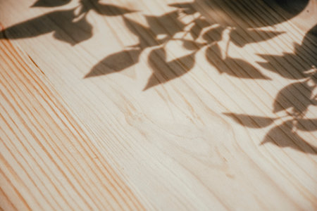 shadows of plants on a wooden table, minimalistic backgroundの写真素材