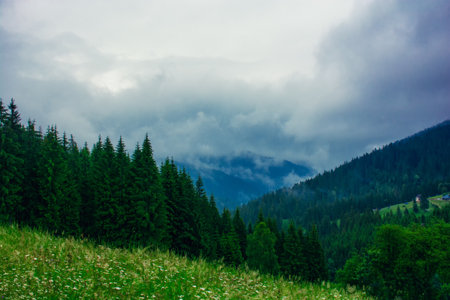 summer mountain landscape with a haze of clouds on the tops of the hillsの写真素材