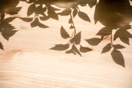 Shadows of Leaves on Wooden Surface