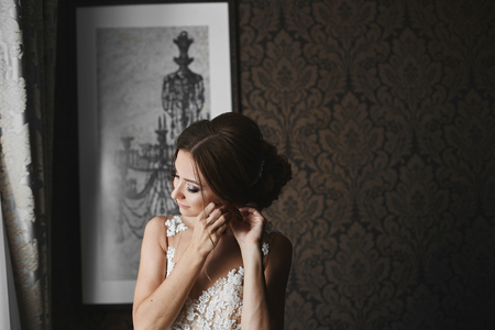 Portrait of beautiful and fashionable brunette model girl with closed eyes and professional bright makeup adjusting earring, wedding preparation of young brideの写真素材