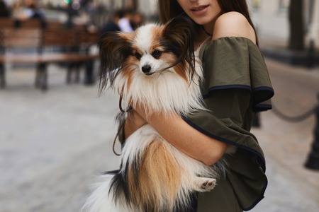 A small cute papillon dog on the hands of a beautiful and cheerful brunette model girl in short dress posing outdoors at the old city center.の写真素材