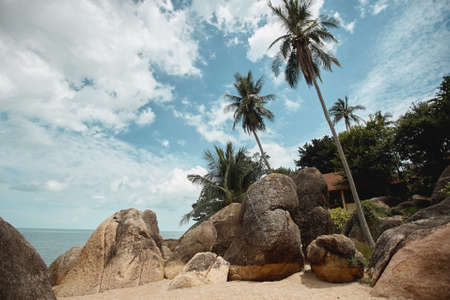 Tropical seacoast with coconut palms, huge stones, and gold sand, perspective view. Summer travel...