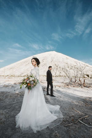Young bride in a luxurious dress standing far from the handsome groom in stylish tuxedo outdoors over the beautiful landscape with mountainsの写真素材