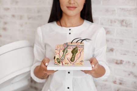 Oversized skin model with hair follicles in the hands of a young woman dermatologist. Doctor dermatologist or trichologist holding and showing human skin cross-section plastic modelの写真素材