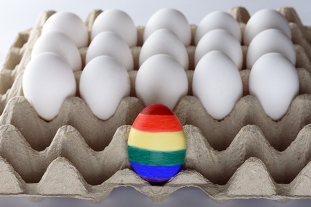 Egg with rainbow colors of the LGBT flag in front of  other many white eggs  in cardboard  box....