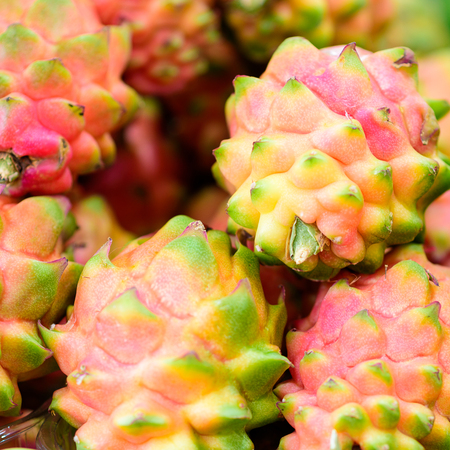 Pile of Pitaya or Dragon Fruit at a fruit market.の写真素材