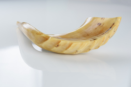 Shofar horn on white background. Shofar-Religious and Jewish Holidays Rosh Hashanah, Yom Kippur symbol.の写真素材