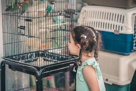 Cute toddler girl looking colorful parrots on cage.の写真素材