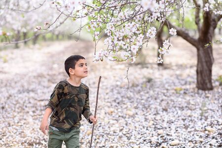 Portrait a small middle eastern boy walks and smelling flowers in a beautiful summer garden with blossom trees.Kid holding stick, having fun outside.の写真素材