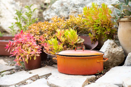 Recycled garden design and low-waste lifestyle. Reduce, reuse, recycle planter craft ideas.