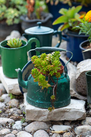 Reused planter ideas. Second-hand kettles, saucepans, old teapots turn into garden flower pots....