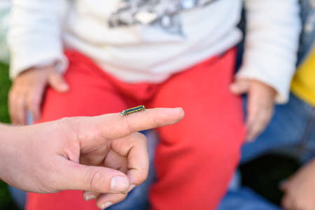 Caterpillar on mans hand.A teacher with children in nature class. A lesson about caterpillar in summer garden.の写真素材