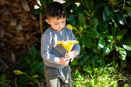 Portrait beautiful little boy with yellow tropic flower on sunny day. Child holding a tropical flower.の写真素材