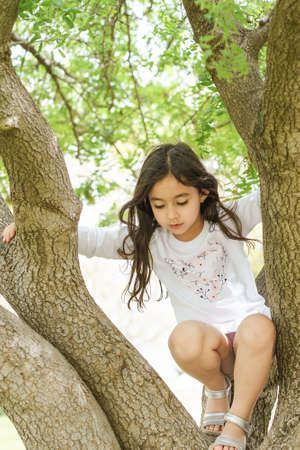Happy child playing in the park climbing on the tree. MIxed-race young girl playing at home, climbing a tree in her backyard.の写真素材