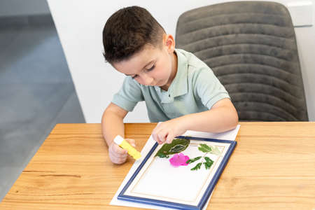 Cute little boy arranging pressed flowers onto a picture frame with glue stick.の写真素材