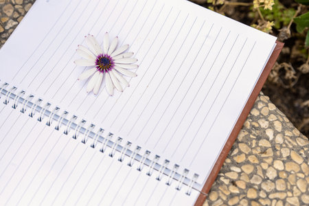 Herbarium: Dried Flower Book. Notebook of Botanical Specimens from a Little Botanical School Pupil.