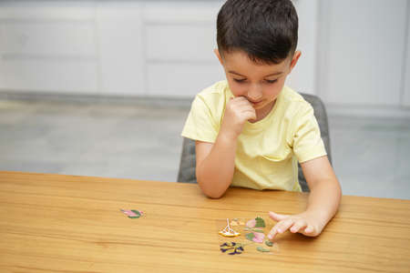 Child with glass picture frame, pressed leaves, and pressed flowers making herbarium on dining wood table in home.の写真素材
