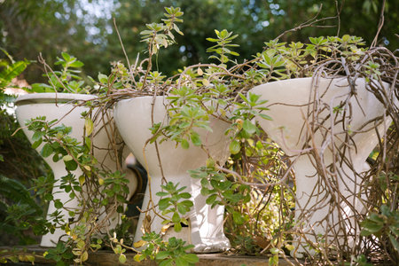 Reuse and Recycle: Toilet Bowls as Flower Pots in Garden Design.の写真素材