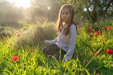 Serene Child Sits In A Field Of Blooming Red Anemones, With The Setting Sun Behind Her.の写真素材