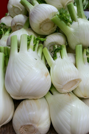 A close-up of fresh fennel bulbs with green stalks and delicate fronds, stacked at a market stall. The crisp texture and vibrant color highlight their freshness.の写真素材